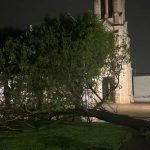 DESTROZOS ANTE EL TEMPORAL: CAYÓ UN ARBOL FRENTE A LA IGLESIA Y EL MUNICIPIO