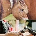 TERRIBLE ATENTADO EN COLÓN: LO AMENAZÓ Y LE DISPARÓ A SUS CABALLOS