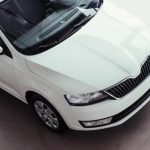 ALPISTE PERDISTE: DEJÓ SU CAMIONETA ESTACIONADA Y SE LA VACIARON