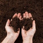 INSÓLITO: SE ROBARON LA TIERRA DE UN TERRENO EN ARBOLITO