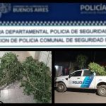 ESCÁNDALO EN ROJAS: ALLANAMIENTO, DETENCIÓN, SECUESTRO DE MARIHUANA Y HALLAZGO DE MOTO ROBADA